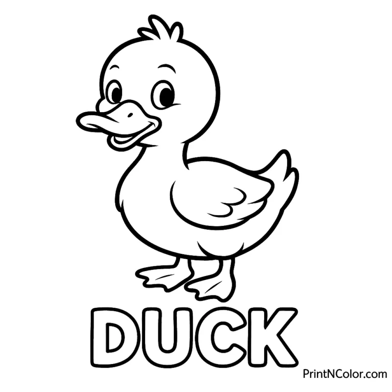 Duck Coloring Page