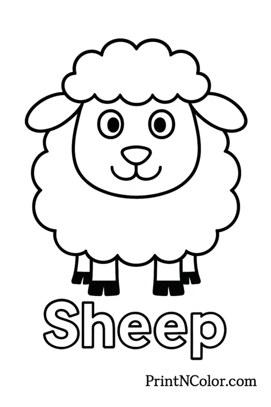 Sheep coloring page